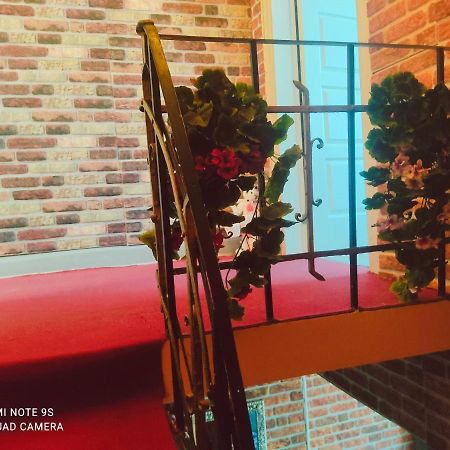 イスタンブールSultanahmet Sea Star Apartアパートメント エクステリア 写真