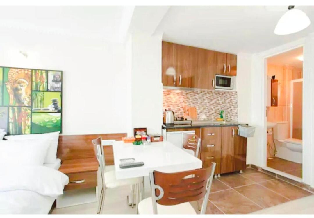 イスタンブールSultanahmet Sea Star Apartアパートメント エクステリア 写真