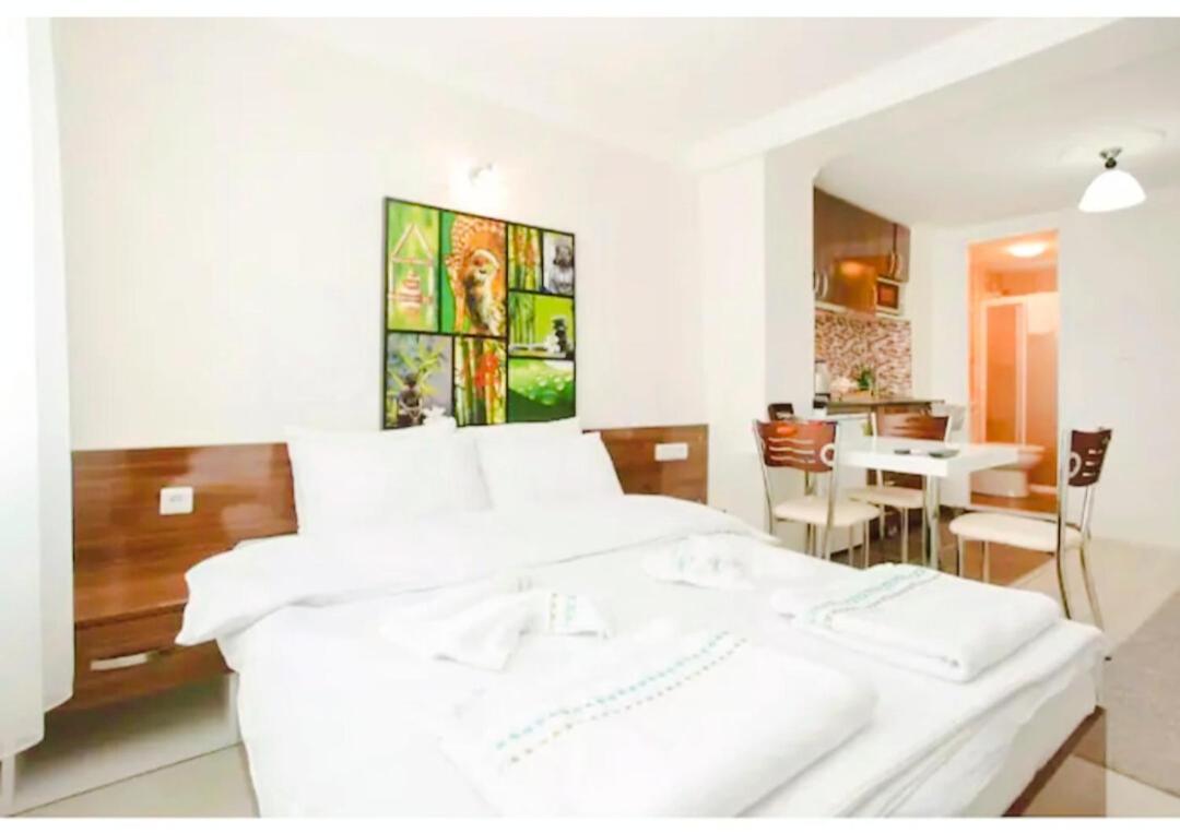 イスタンブールSultanahmet Sea Star Apartアパートメント エクステリア 写真